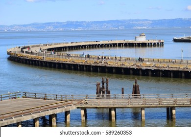 Fishing Pier, Aquatic Park, Fisherman's Wharf, San Francisco.