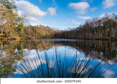 Fishing Pond