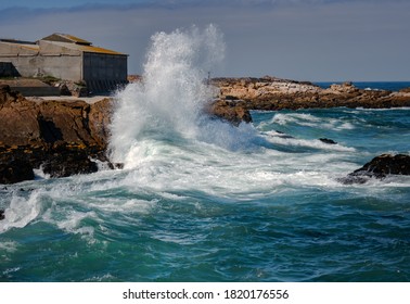 Fishing Port Lamberts Bay South Africa