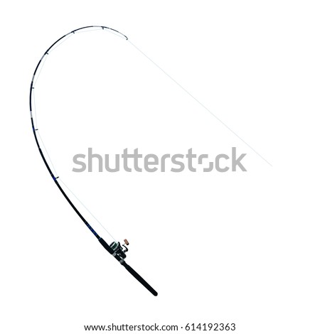 The fishing rod is bent and fully tensed isolated on white background this has clipping path