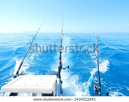 Fishing rods ready for fishing 