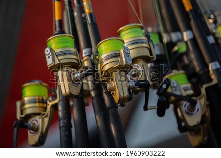 Fishing rods for sea fishing in the Netherlands