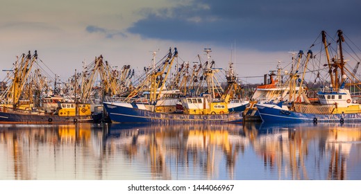 Fishing ships in Lauwersoog. Which harbours one of the biggest fishing fleets of the Netherlands. The fishery concentrates mainly on the catch of mussels, oysters, shrimp and flatfish in the Waddensea