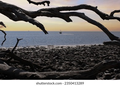 fishing or shrimp boat headed toward sunset or horizon in background, foreground framed in driftwood - Powered by Shutterstock