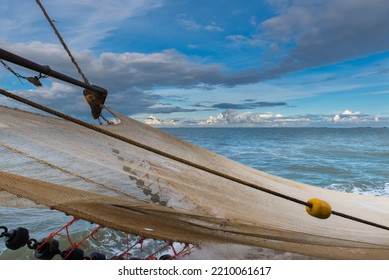 Fishing Shrimps At The Belgian Coast