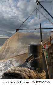 Fishing Shrimps At The Belgian Coast