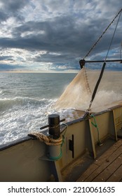 Fishing Shrimps At The Belgian Coast