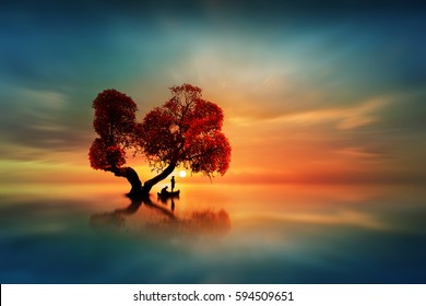 Fishing the sun under a beautiful tree
