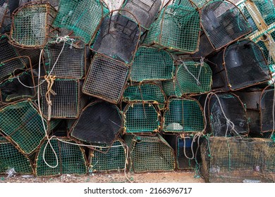Fishing traps in Asturias Spain, capture of octopus and shellfish stacked in the fishing port