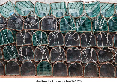 Fishing traps in Asturias Spain, capture of octopus and shellfish stacked in the fishing port