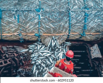 Fishing With A Trawl. A Large Trawl With Fish Was Dragged Onto The Deck Of The Ship