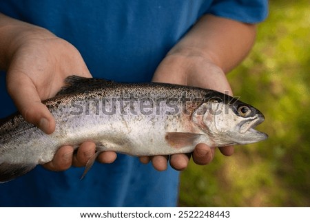 Similar – Image, Stock Photo Angler holds dead fish in his hand