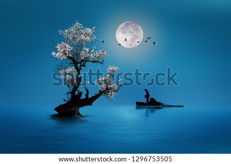 fishing under the moonlight