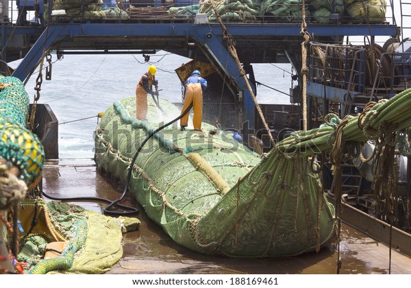Fishing vessel.\
Great catch of fish in thrall. The process of casting the fish in\
the tank. Large freezer\
trawlers.