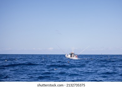 Fishingboat in Offshore fishing for Tuna near Gran Canaria