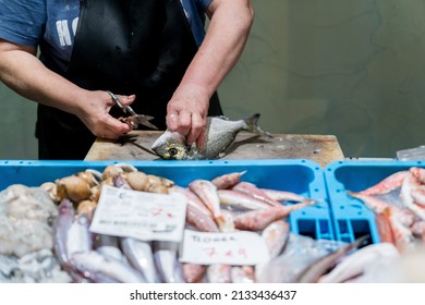 Fishmonger Hands Cleaning Fish In Her Fish Shop. 