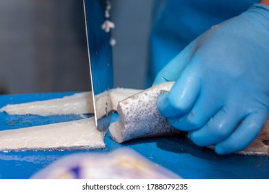 
Fishmonger Hands With Latex Gloves Cutting Fish