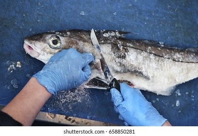 Fishmonger Selling Fish