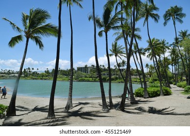 Fishpond At Waikoloa Beach, Hawaii