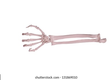 420 Fist Hand Skeleton Images, Stock Photos & Vectors | Shutterstock