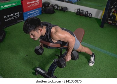 A fit asian guy does chest supported dumbbell row on an incline bench. With an intense and determined game face. Working out back at the gym.