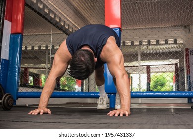 A Fit Asian Man Does Pike Push Ups At A MMA Gym. Body Weight Shoulder Calisthenics Or HIIT Workout.