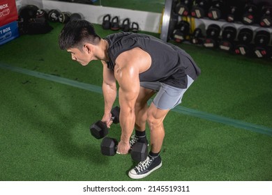 A Fit Asian Man Does Romanian Dumbbell Deadlifts Or Bent Over Rows. Weight And Resistance Training At The Gym.