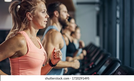 Fit Athletic Woman Running on the Treadmill, Doing Her Fitness Exercise. Muscular Women and Men Actively Training in the Modern Gym. Sports People Workout in Fitness Club. Side View - Powered by Shutterstock