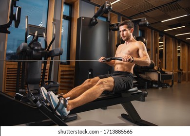 
Fit man doing cardio workout on rowing machine in the gym