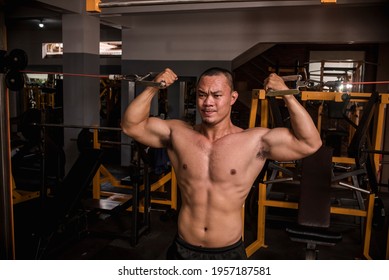 A fit and muscular asian guy does standing double bicep cable curls at a hardcore gym. Working out bicep intensely. - Powered by Shutterstock