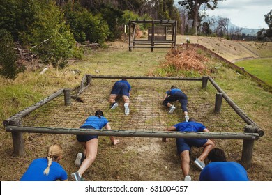 Fit people crawling under the net during obstacle course in bootcamp