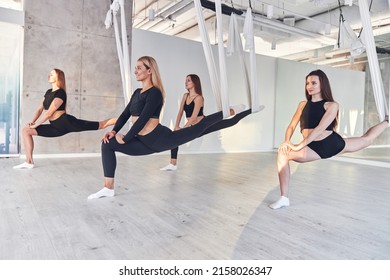  Fit sportswomen in tracksuits practice fly yoga and have stretching workout training on hammock - Powered by Shutterstock