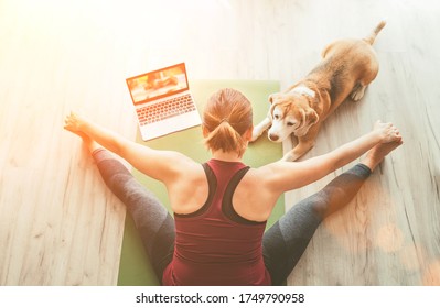 Fit Sporty Healthy Woman Sit On Mat In Upavistha Konasana Pose, Doing Breathing Exercises, Watching Online Yoga Class On Laptop Computer. Her Beagle Dog Keeping Company Next On The Floor Top View.