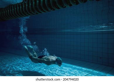 Fit Swimmer Training By Himself In The Swimming Pool At The Leisure Centre