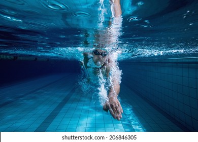 Fit Swimmer Training By Himself In The Swimming Pool At The Leisure Centre