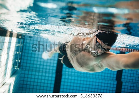 Fit swimmer training in the swimming pool. Professional male swimmer inside swimming pool.