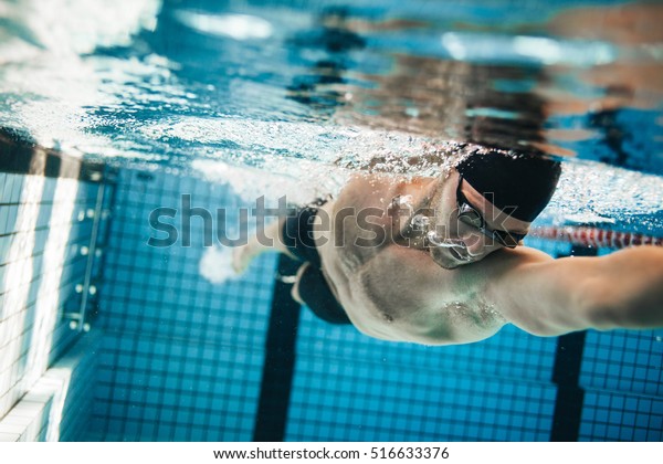 Fit swimmer training in the\
swimming pool. Professional male swimmer inside swimming\
pool.