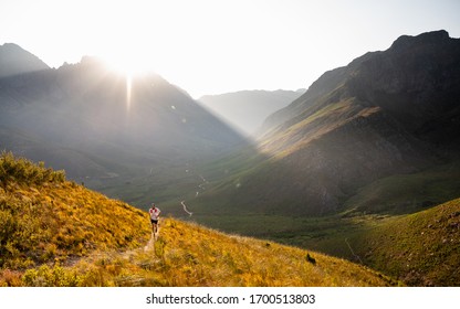 A fit trail runner running up a beautiful mountain trail at sunrise in the Jonkershoek Valley of South Africa - Shutterstock ID 1700513803