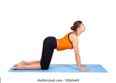 4,816 Cat pose yoga Images, Stock Photos & Vectors | Shutterstock