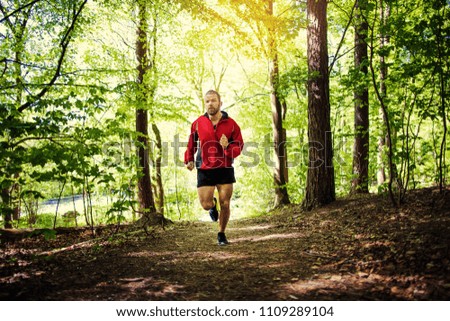 Similar – Image, Stock Photo Running forest Nature