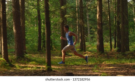 Fit Young Man Jogging Through The Tranquil Forest On A Sunny Summer Afternoon. Caucasian Sportsman Training In The Woods For A Big Trail Running Race. Sporty Guy Working Out And Jogging In The Nature.