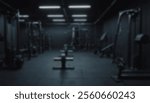 Fitness Center Blur Background Gym Personal Weight Training Studio Health Club With Blur Workout Equipment Bodybuilding Power Strength Class.22
