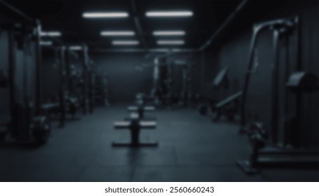 Fitness Center Blur Background Gym Personal Weight Training Studio Health Club With Blur Workout Equipment Bodybuilding Power Strength Class.22
					