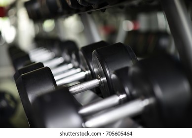 Dumbbells Aligned Gym Black White Stock Photo 1867370353 | Shutterstock