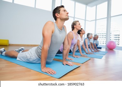 Fitness group doing cobra pose in row at the yoga class