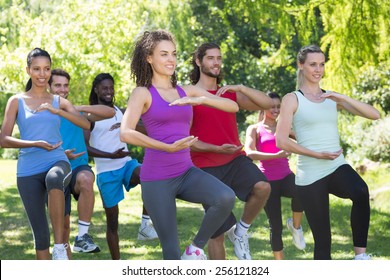 Fitness Group Doing Tai Chi In Park On A Sunny Day