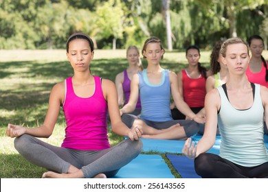 Fitness Group Doing Yoga In Park On A Sunny Day