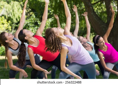 Fitness Group Doing Yoga In Park On A Sunny Day