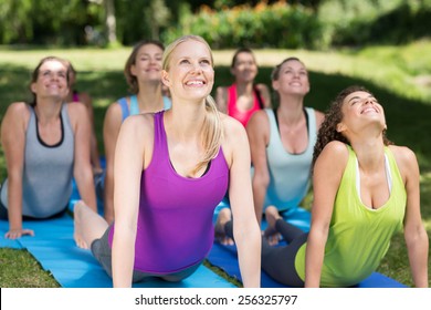 Fitness Group Doing Yoga In Park On A Sunny Day