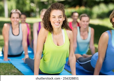 Fitness Group Doing Yoga In Park On A Sunny Day